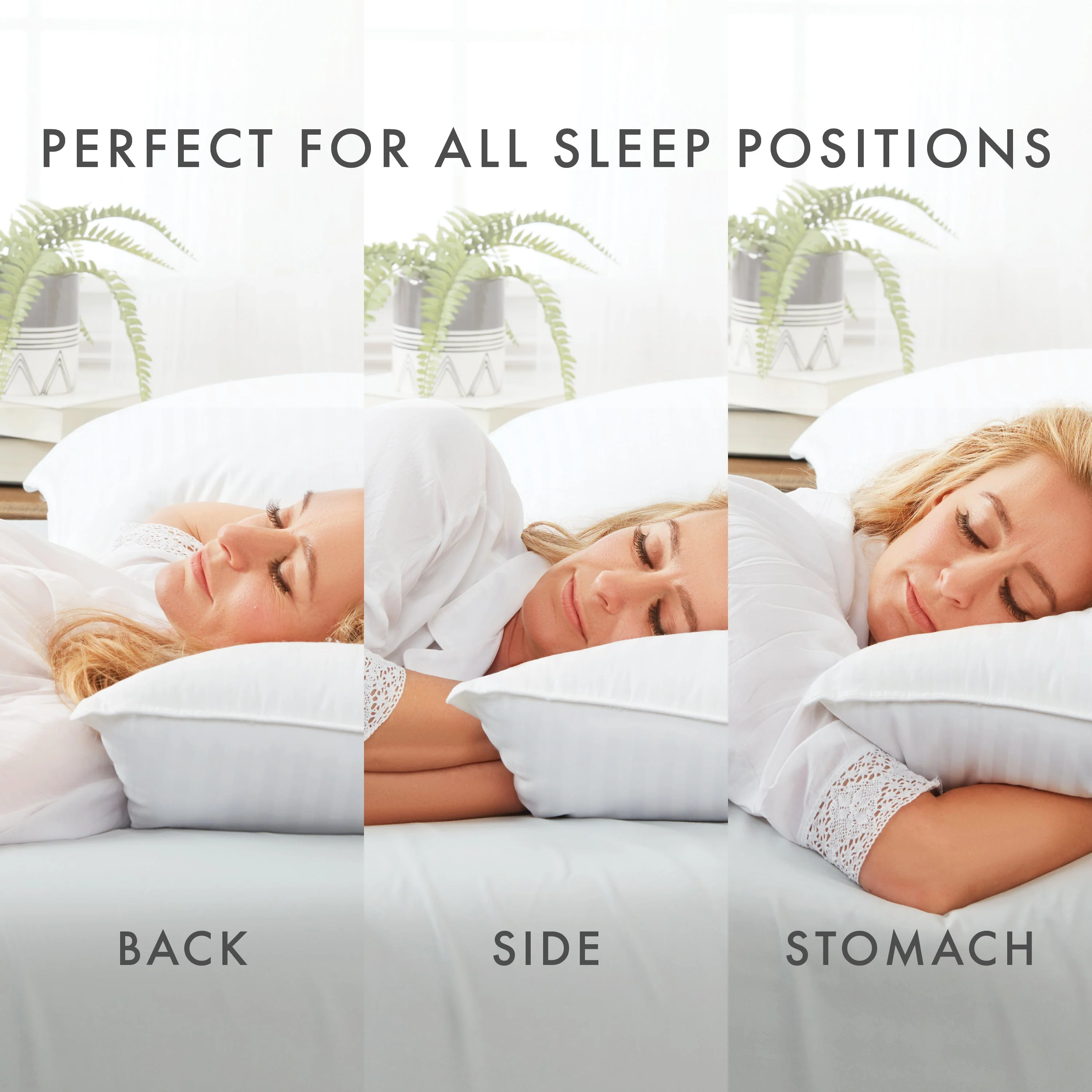 Plush Down-Alternative Gel-Fiber Pillow (2-Pack) - SLEEP60 - Image 5